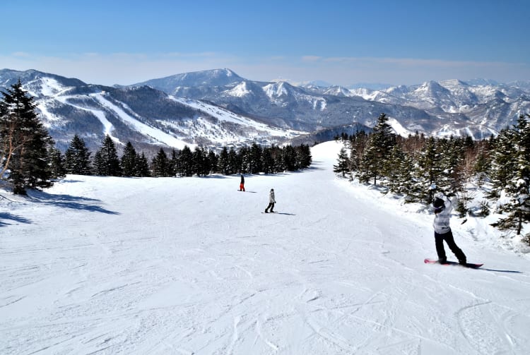 shiga-kogen highlands area