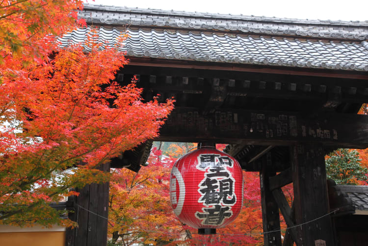 Fall Foliage of Kongorin-ji