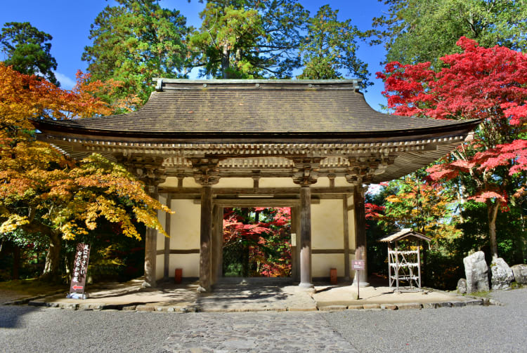 Fall Foliage of Saimyoji