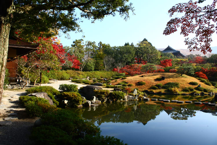 isuien garden