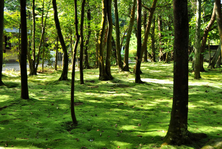 Akishino-dera Temple