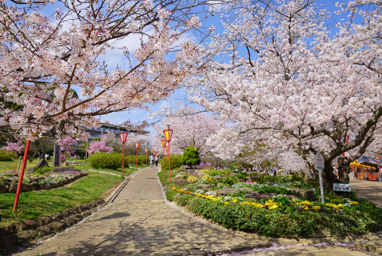 hiokayama park