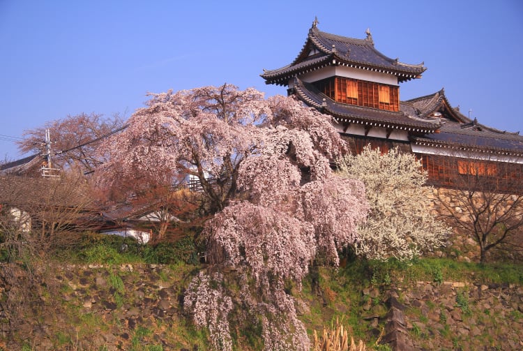 koriyama castle