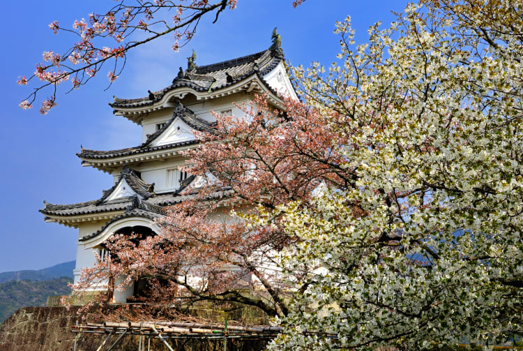 uwajima castle