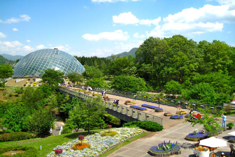 Tottori Hanakairo Flower Park