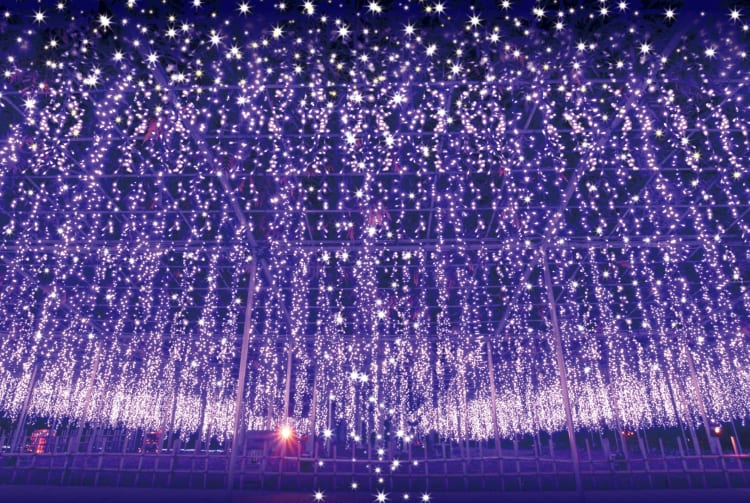 Ashikaga Flower Park