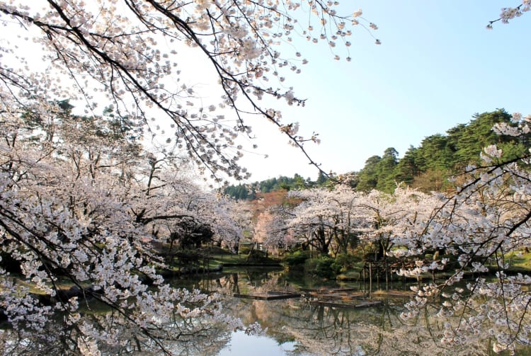 Muramatsu Park