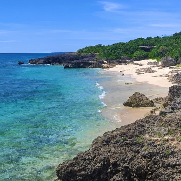  U.S.-JAPAN TOURISM YEAR 2024 Logo Motiv 