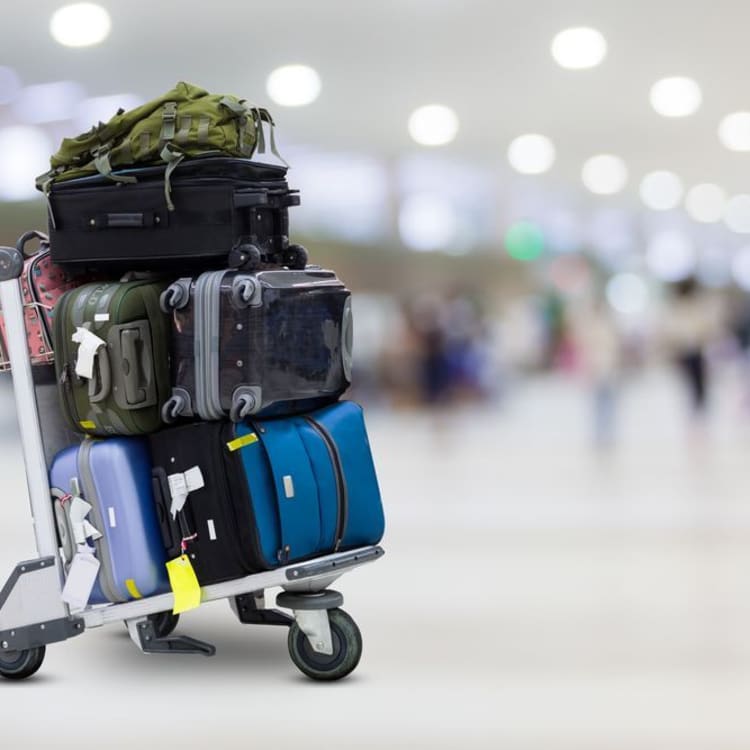 airport travel luggage