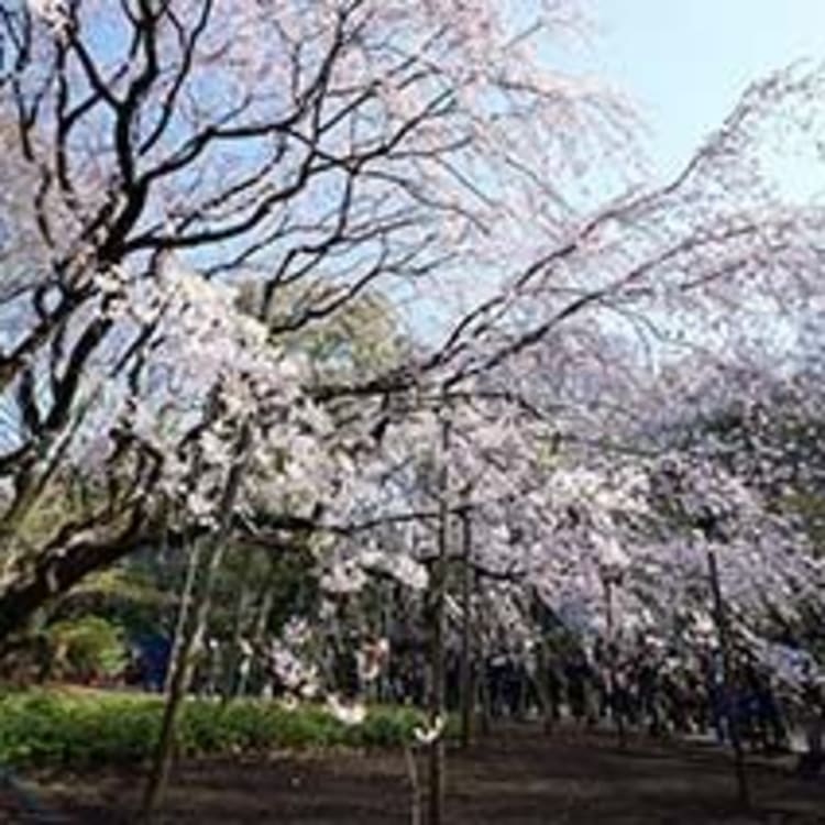Golden Week in Japan