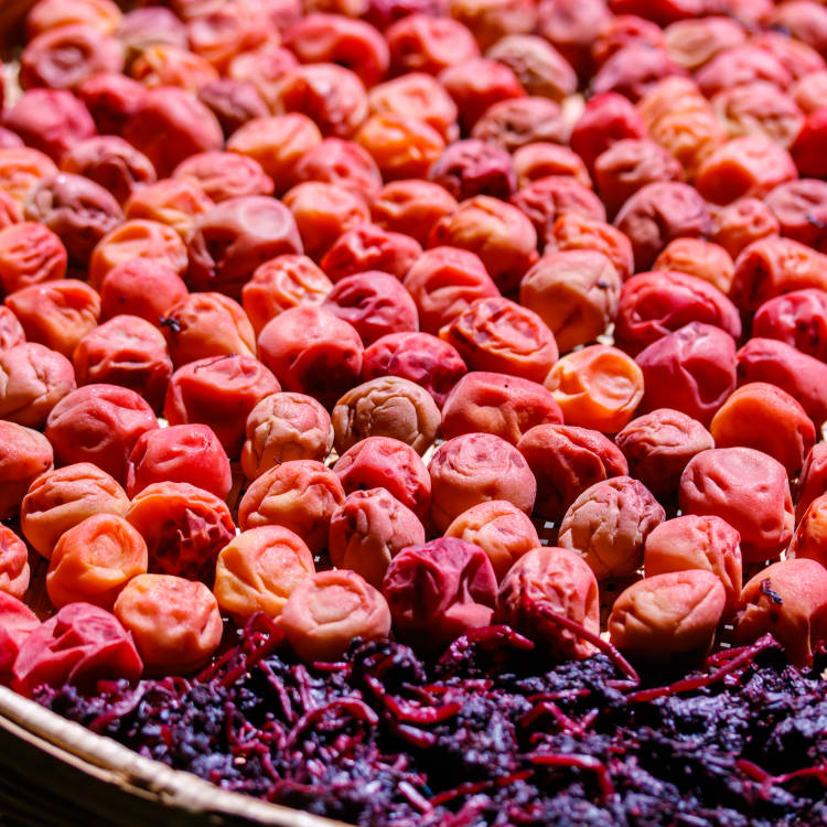 Japanese Superfoods Guide Travel Japan (Japan National Tourism