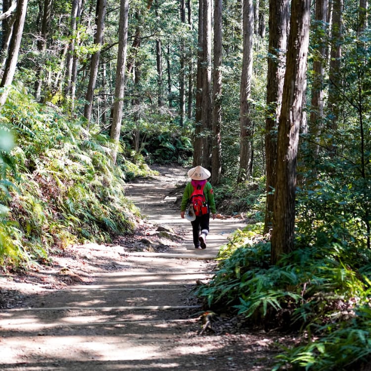 Wakayama Kumano