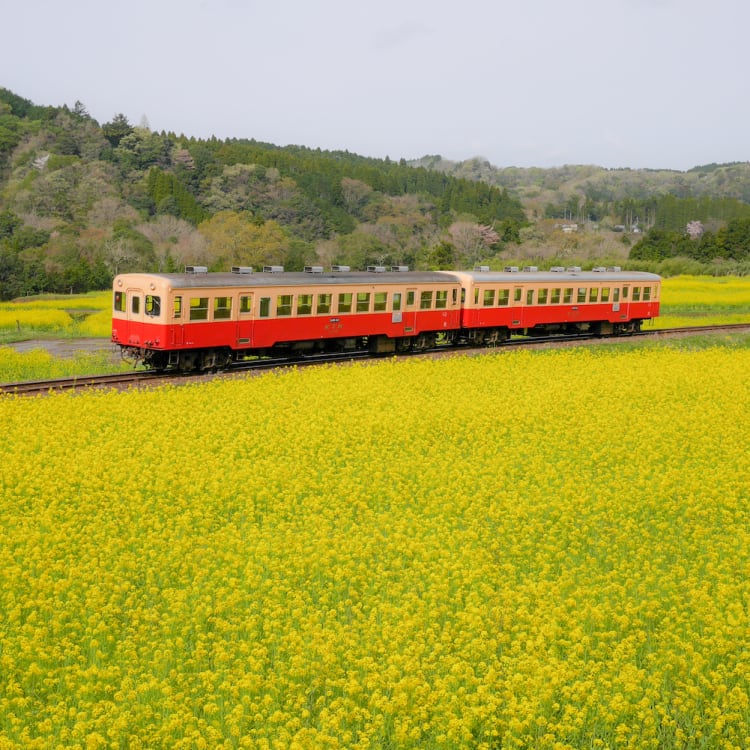 Kominato Railway