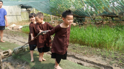 Trải nghiệm làm người nông dân nhí "Chân lấm tay bùn"