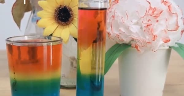 THÍ NGHIỆM KHOA HỌC THÚ VỊ CHO BÉ MẦM NON: CỐC NƯỚC MÀU SẮC