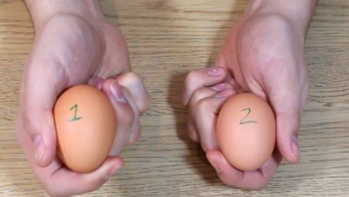 Thí nghiệm khoa học đơn giản tại nhà với những trái trứng