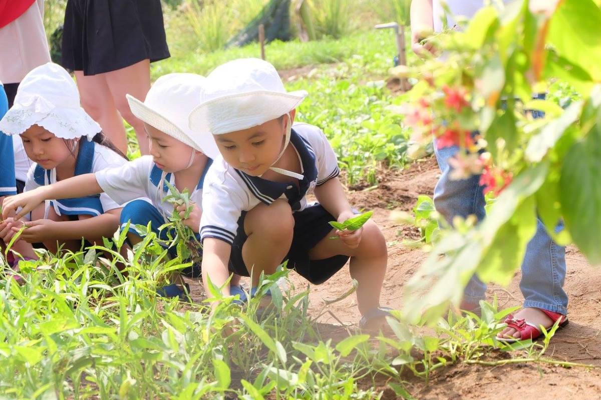 BÍ KÍP BỎ TÚI CHO PHỤ HUYNH ĐANG TÌM TRƯỜNG MẦM NON CHO CON TẠI KHU VỰC NHÂN CHÍNH