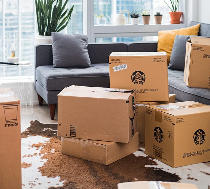 Cardboard boxes in living room