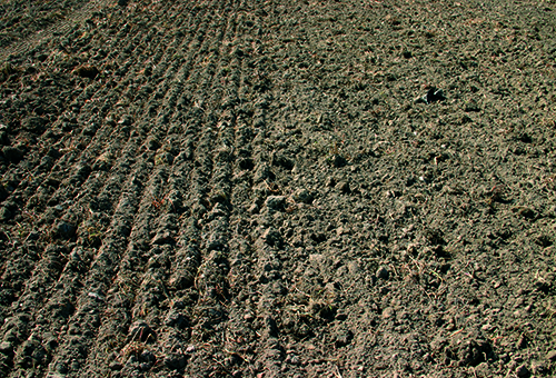 Rouleaux arrière