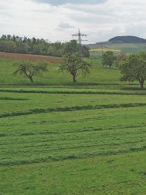 Four Rotor Rakes - VICON ANDEX 1304 PRO, super efficient in use during field operation with ISOBUS option