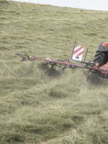 Mounted Tedders - Vicon Fanex 604 - 804, ideal for hay making also low weight and low power requirments