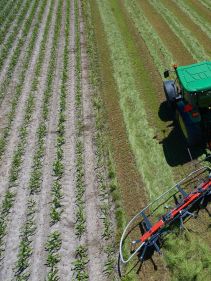 mounted tedders - VICON FANEX 554-684-764-904-1124, Central adjustment for border spreading keeping the crop inside the field.