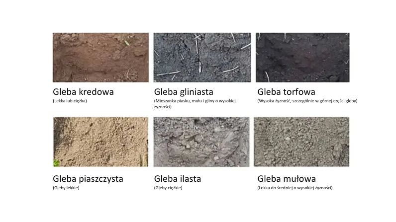 Co2 Soil Storage capacity