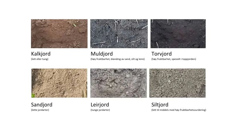 Co2 Soil Storage capacity