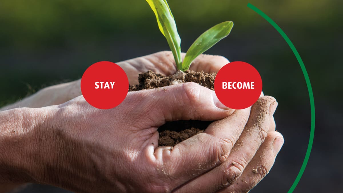 Campagna Stay or Become