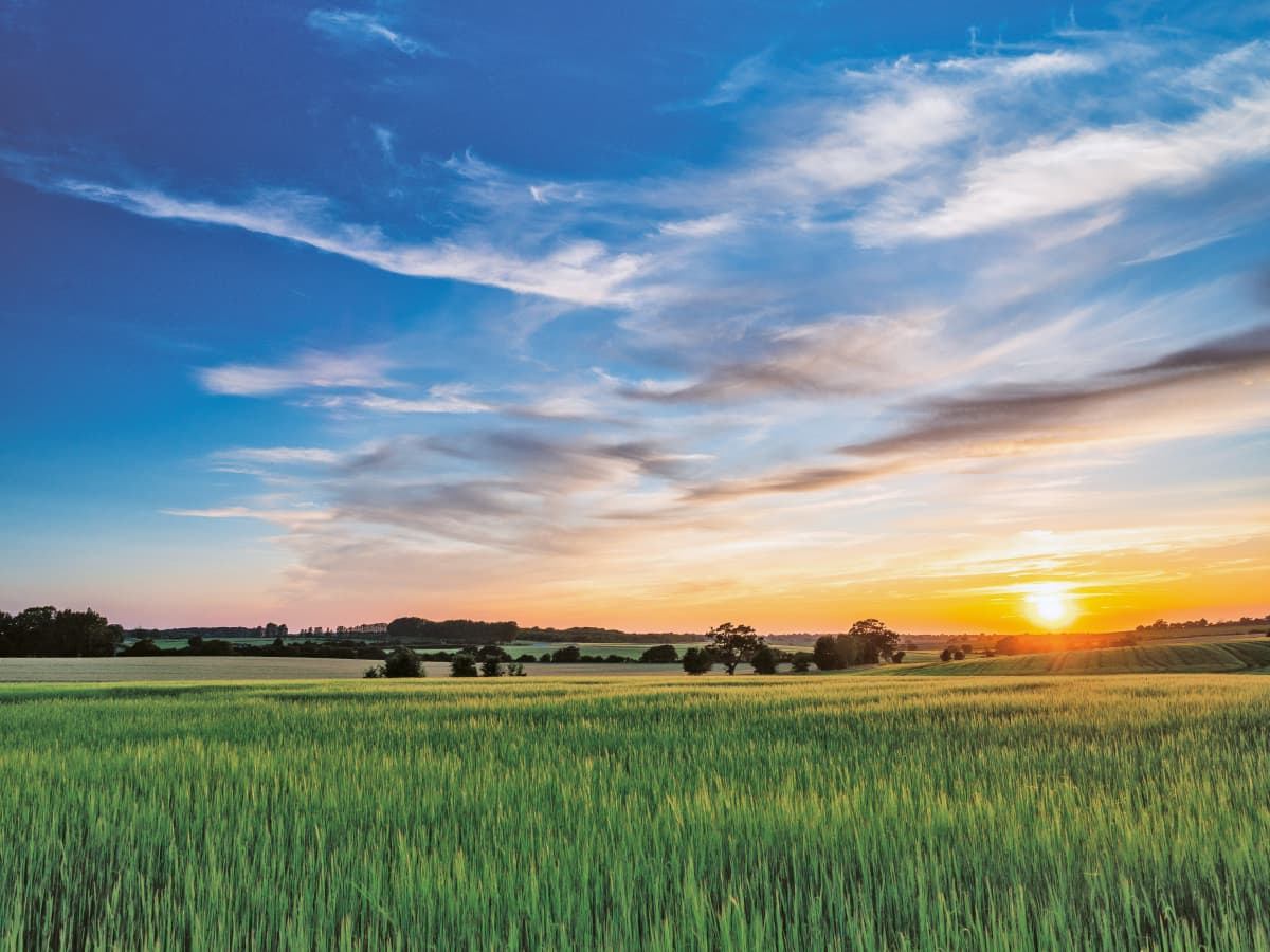 Campagna Finanziaria Advance