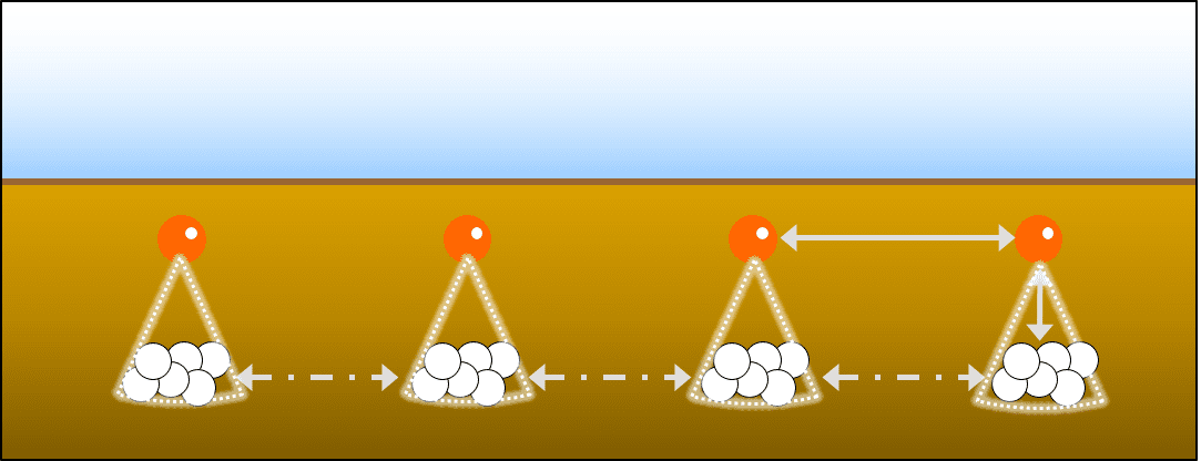 PUDAMA application system IMAGE