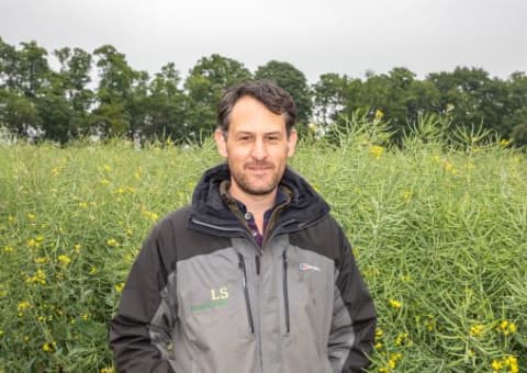 Kultistrip suits LS Plant Breeding’s oilseed rape trials