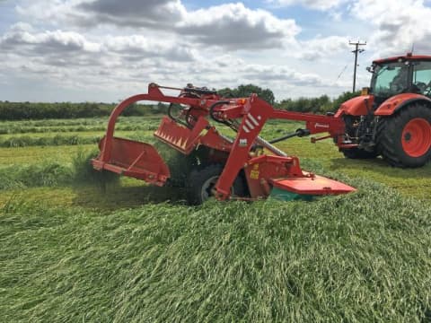 Swath belt boosts forage quality