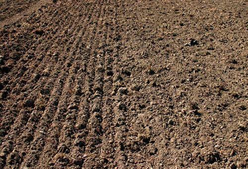 Qualidisc 21000 T - Rouleaux arrière