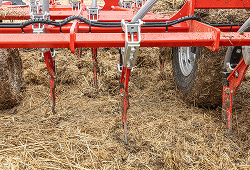 Five rows of tines