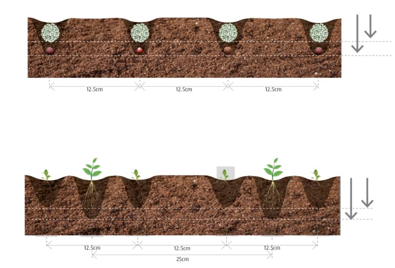 u-drill plus - Positionnement de l'engrais