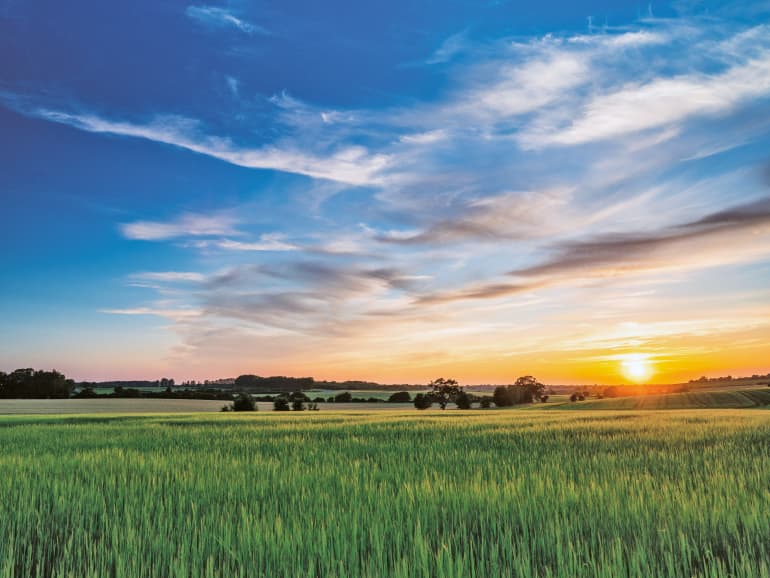 Campagna Finanziaria Advance