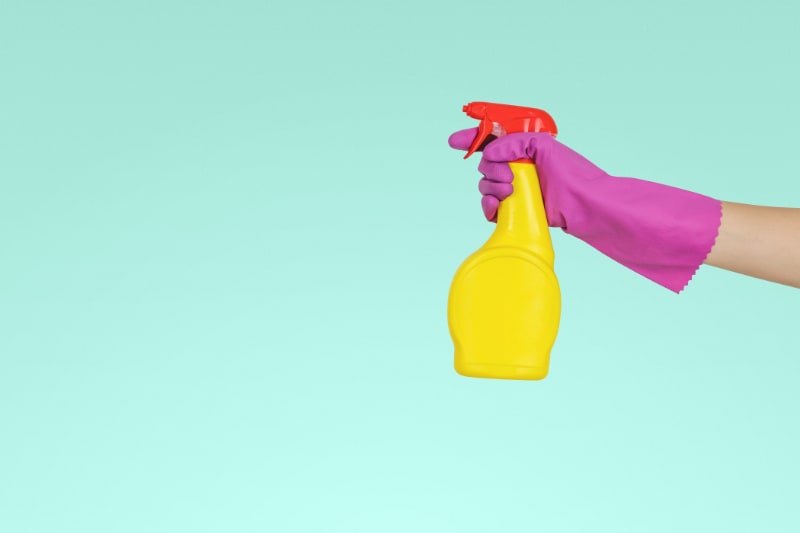 Cleaning Tips for Homes with Pets