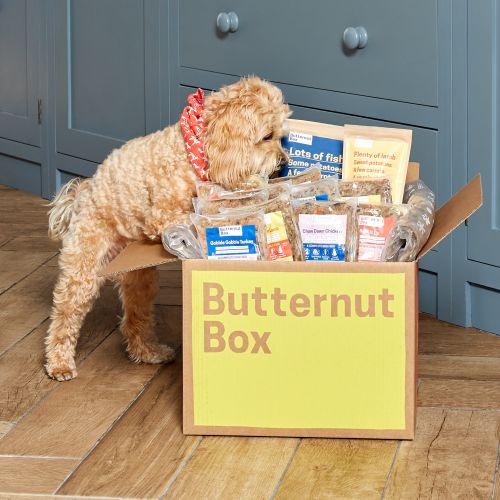 butternut box for dogs