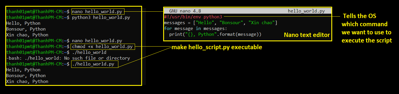 create-an-executable-python-script-on-Linux