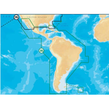 Gold XL9 SD/Micro SD Format 3X USA