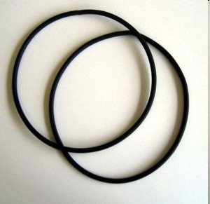 Instrument O-rings (IOR)