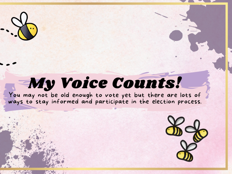 My voice counts 