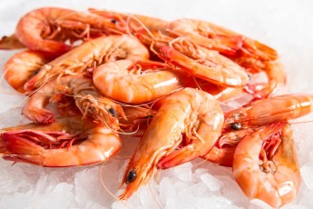 Fresh seafood as a political foil.
