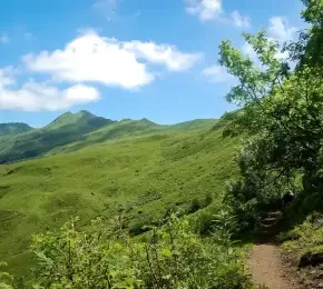 Pharmacie à vendre dans le département Cantal sur Ouipharma.fr