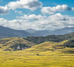 Pharmacie à vendre dans le département Haute-Saône sur Ouipharma.fr