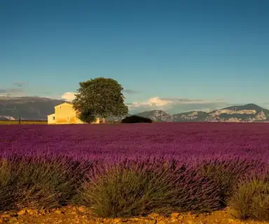 Image pharmacie dans le département Drôme sur Ouipharma.fr