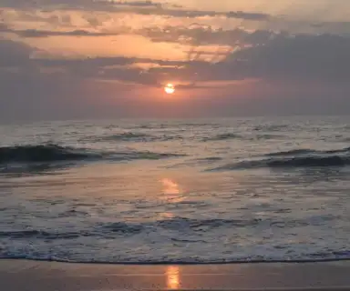 Image pharmacie dans le département Charente-Maritime sur Ouipharma.fr
