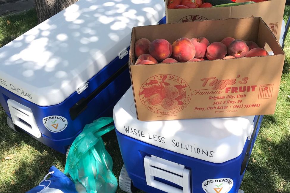 Discover Ways to Reduce Food Waste While Supporting a Food Rescue Program 