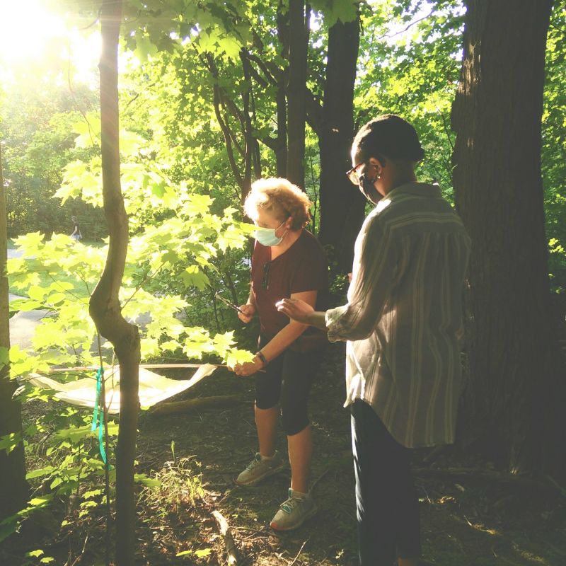 Become a Citizen Scientist and Monitor Environmental Changes